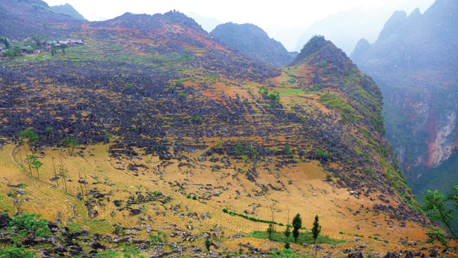 Livelihood in the Stone Plateau